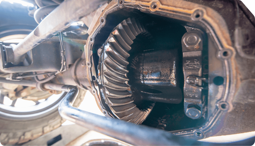 Differential Maintenance